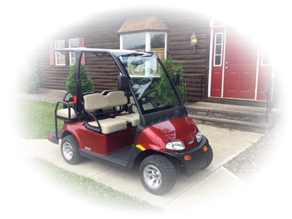 New York's finest line or golf carts